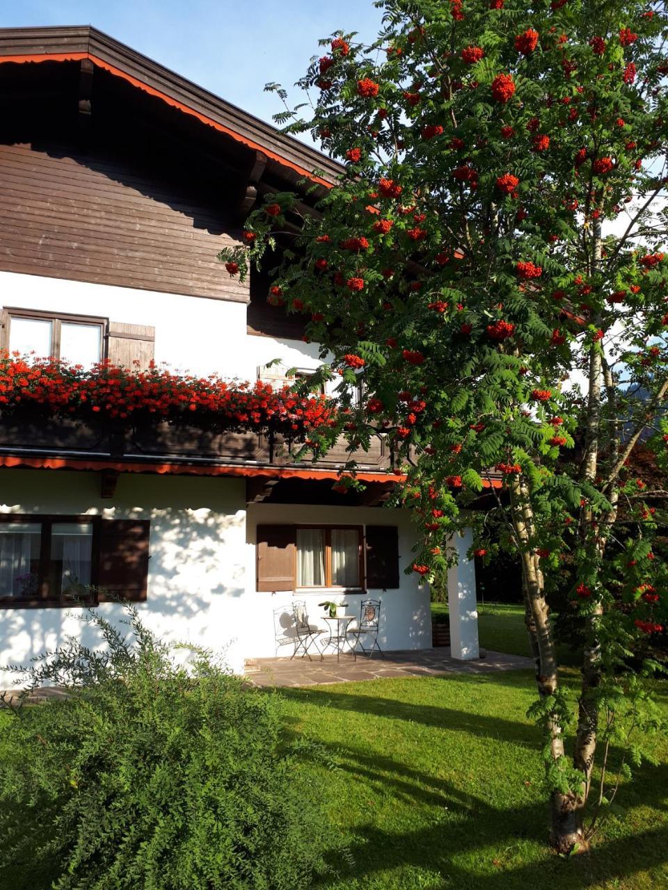 Haus Slechta Leilighet Kitzbühel Eksteriør bilde